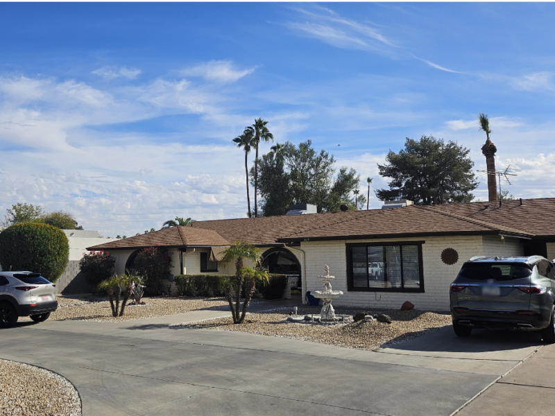 AT HOME CHOLLA