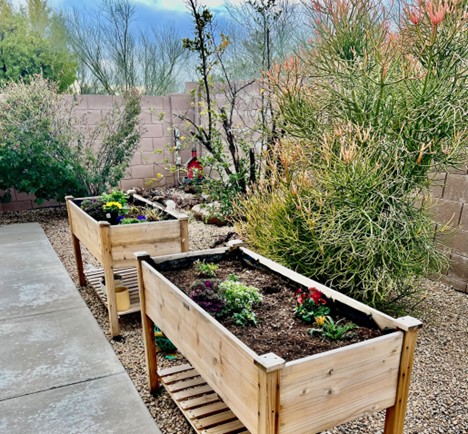 Amber Hills Assisted Living