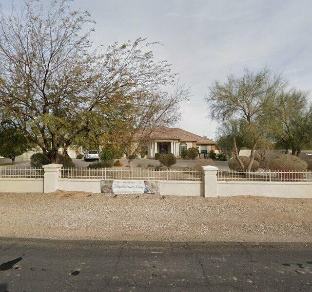 MAGNOLIA SENIOR LIVING LLC
