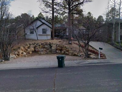 PINES, THE