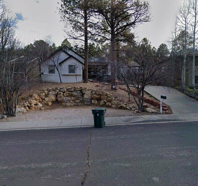 PINES, THE