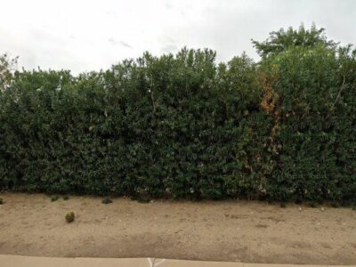 PARADISE LIVING CENTERS CAMELBACK LLC