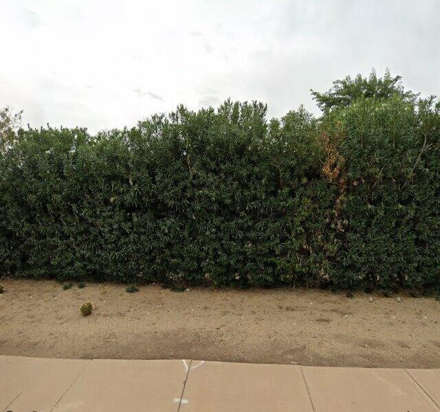 PARADISE LIVING CENTERS CAMELBACK LLC