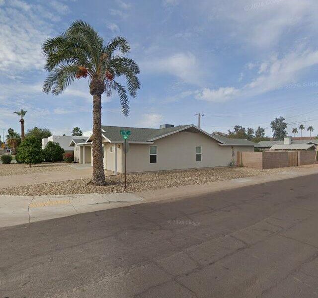 Desert Palm on Virginia