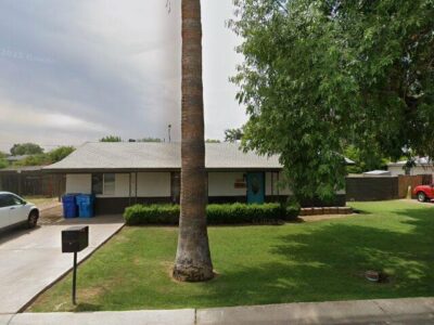 DESERT PALM ON BELMONT