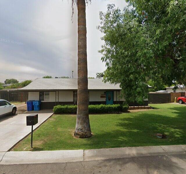 DESERT PALM ON BELMONT